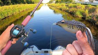 Fishing SECRET Florida Canals for SNAKEHEAD