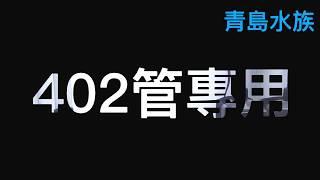 鴨嘴頭出水口 402管專用 水下出水示範