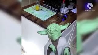 yoda gets slapping