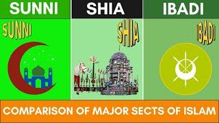 Sunni vs Shia vs Ibadi Comparison - Islamic Denominations