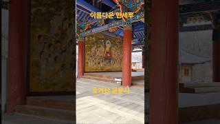 #반야심경#호거산#운문사#만세루#천연기념물#소원성취
