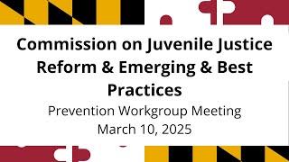 Prevention Workgroup for Commission on Juvenile Justice Reform & Emerging & Best Practices