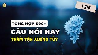 Tổng Hợp 500 Câu Nói Hay Thấm Tận Xương Tủy  (Video 1 Giờ) - Kênh của Lúa