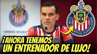 ¡DOBLE ANUNCIO! RAFA MÁRQUEZ dirigirá al REBAÑO con QUIÑONES | ultimas noticias del chivas hoy