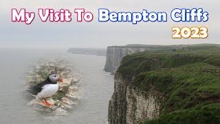 My Visit To Bempton Cliffs (May 2023)