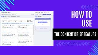 How to use the Content Brief Feature | Keyword Insights