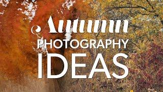 Autumn Photography Ideas with Mirrorless Cameras and Nikon Z 6iii, Z 8, and Z 9 Multiple Exposures