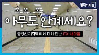 [한국철도Ⅹ홍윤이네] 중앙선 기차역에서 다시 만난 ITX-새마을 반가워요!