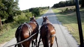 Wagon Pulled by Mules in Nocona, Texas