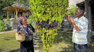 We Have Collected A Huge Harvest of Grapes and Сooking a Sweet Treat! Life in the Village