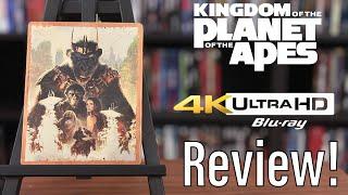 Kingdom of the Planet of the Apes (2024) 4K UHD Blu-ray Review!