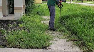 Relaxing Overgrown Lawn Mowing| Fall Asleep in 10 Minutes | ASMR Grasscut