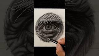 Hyperrealism using only ONE PENCIL??? #drawing #shorts