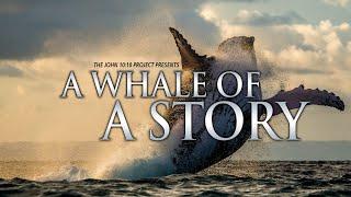 A WHALE OF A STORY