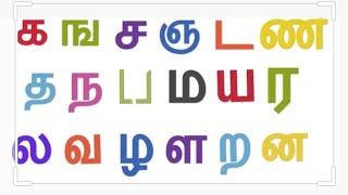 க ங ச ட ட ட த ந ப ம ட ட த வ ழ ள ற‌ ன || Song Easy Learning