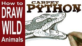 How to Draw a Snake - the Carpet Python (beginner)- Spoken Tutorial