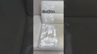 버리기 직전 소파를 거품청소 하면?