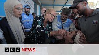 UN Gaza aid chief: World is failing innocent civilians | BBC News