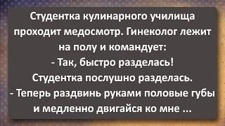 Студентка Кулинарного 19 лет После Гинеколога и Гопники в Лифте! Сборник Самых Свежих Анекдотов!