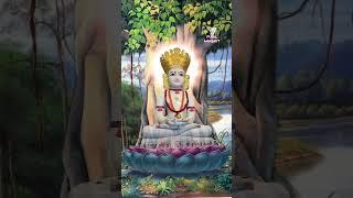 simandhar swami || new jain status ||