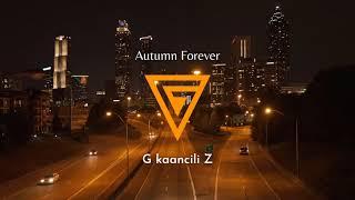 G kaancili Z - Portland at Night 