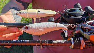 Googan Revolver vs River 2 Sea Whopper Plopper. Head to Head testing. REAL RESULTS