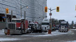 FREEDOM CONVOY DAY 6 - ottawa