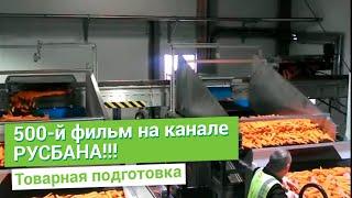 Концепция овощного центра по предпродажной подготовке  на 150 000 тонн в год