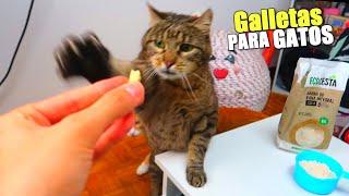 GALLETAS PARA GATOS