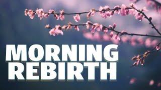 This poem will cheer you up | Spring Morning by Meng Haoran