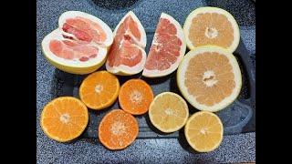 5 Citrus varieties you have probably never heard of! Oroblanco, Tango, Gold Nugget, SweetLime, Pomel