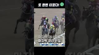 또 터진 초고배당! 15856.5배 #shorts