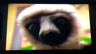 Zoboomafoo Run Like A Horse  ‍️ ‍️ 