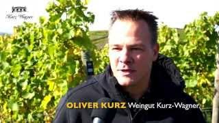 Weingut Kurz-Wagner