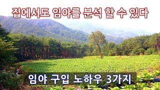 임야구입 시 이것 3가지만 알면 돈 버는 산을 살 수 있다