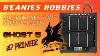 Flying Bear Ghost 5 3d Printer Review And Test Prints