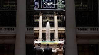 Volex PLC's €10M Win!  LSE Celebration!
