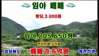 물번,491번) 대형임야,205.650평 평당,3.000원에 급매매합니다  구거접,임도근접,농림지역,임업용산지,보전산지,선산용,남서향,북동향입니다, 일부 주택이 있는 곳으로 통행~