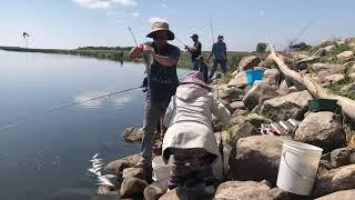 Mus nuv ntses pem North Dakota Devils Lake