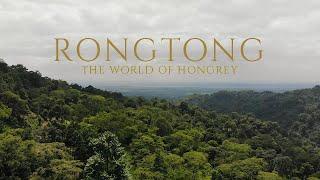 RONGTONG | The World of Hongrey | Birding in Rongtong, Darjeeling