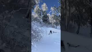 Snow storm stuck cars Murree