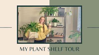 Plant Shelf Tour | Plant Shelf Inspo | Knot Box Review