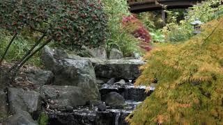 Takata Japanese Gardens, Horticulture Centre of the Pacific, Vol.1