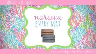 norwex entry mat - megan bell smith