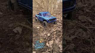 RC Wife's Vanquish VS4-10 ultra rock crawler. Amazing paint out in the sun!