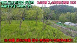 (010-2393-7189)대구 달성군 하빈면 주말농장용 땅 245평 7,400만(평당 30만) 매매