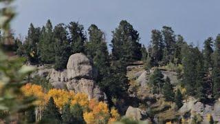 The Only Bigfoot Video We Need to See -  Many On Video - Ancient Petrified Forest