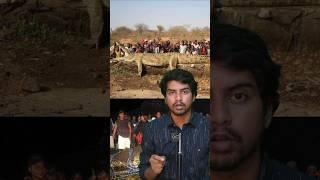 Deadly crocodile Story // Sri info (Tamil)