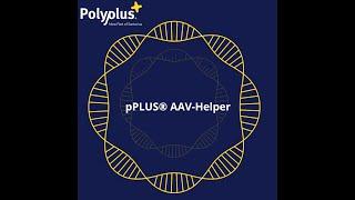 pPLUS® AAV Helper