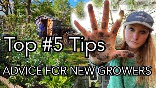 Allotment Tips for Beginners (or Anyone Struggling) || Talking Mental Resilience and Allotment Guilt